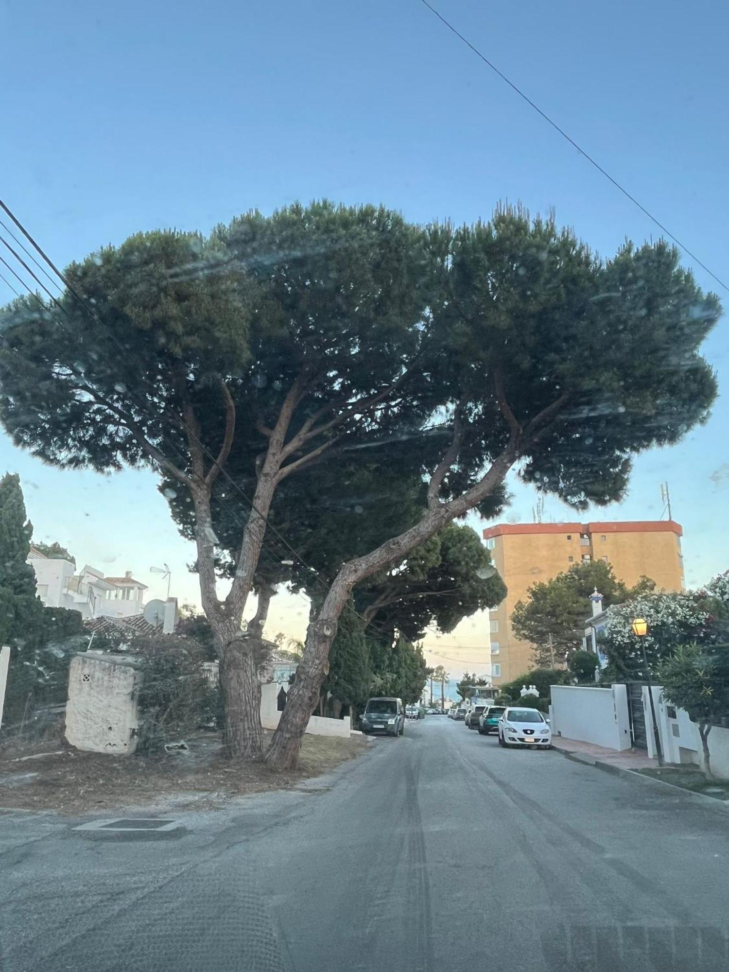 דירות מאלגה La Casa Catharina מראה חיצוני תמונה